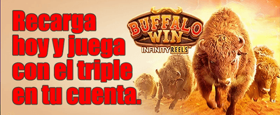 Bonus Buy Slots